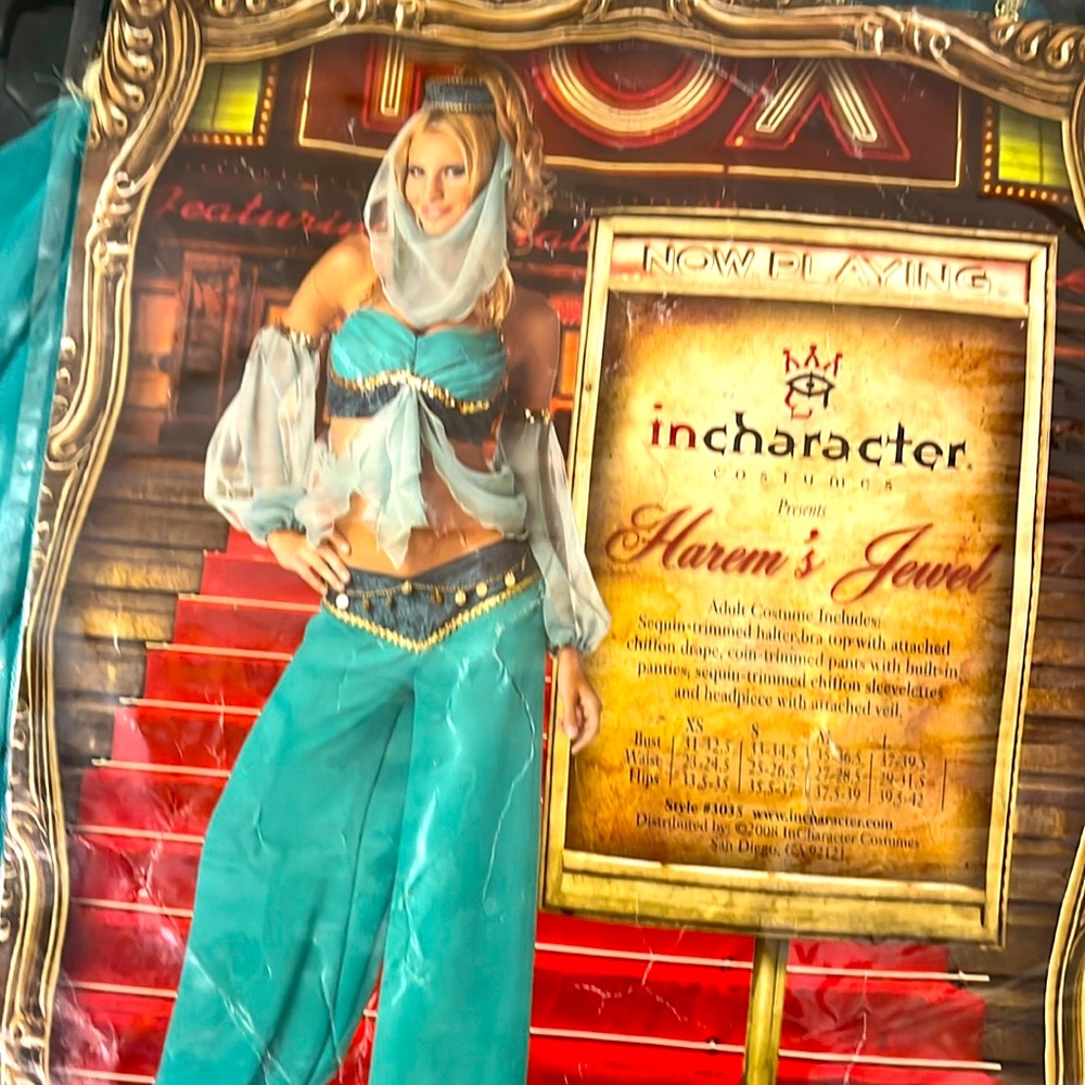 Genie Costume - Harem’s Jewel - Belly Dancer Ladies Halloween Costume